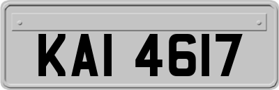 KAI4617