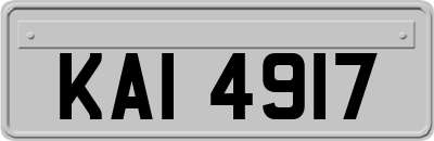 KAI4917