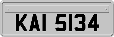 KAI5134