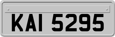 KAI5295
