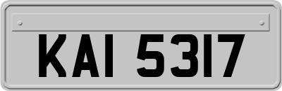 KAI5317