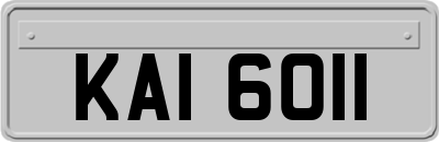 KAI6011