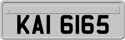 KAI6165