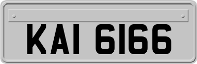 KAI6166