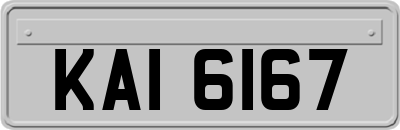 KAI6167