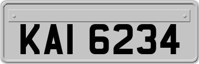 KAI6234