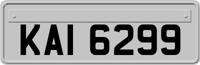 KAI6299