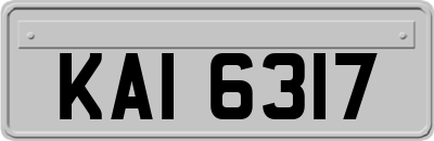 KAI6317