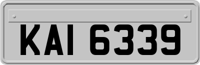 KAI6339