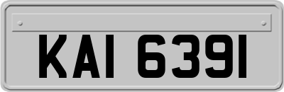 KAI6391
