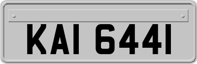 KAI6441