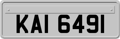 KAI6491