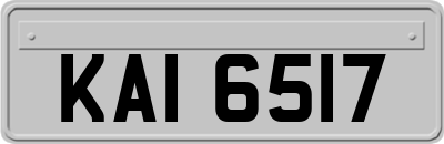 KAI6517