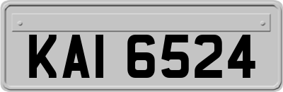 KAI6524