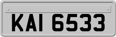 KAI6533