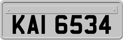 KAI6534