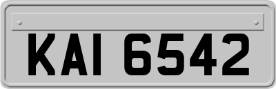 KAI6542