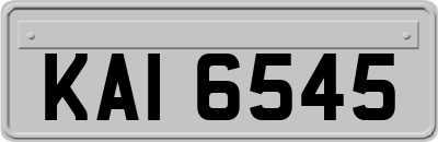 KAI6545