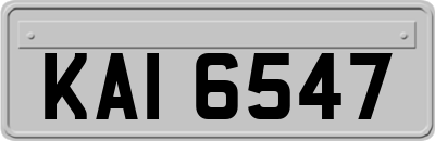 KAI6547