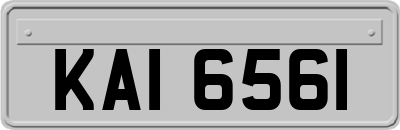 KAI6561