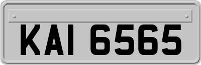 KAI6565