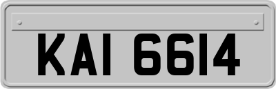 KAI6614