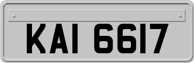 KAI6617