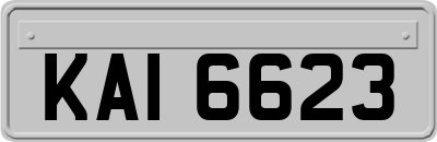 KAI6623