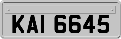 KAI6645