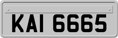 KAI6665