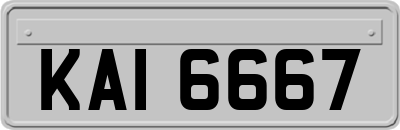 KAI6667