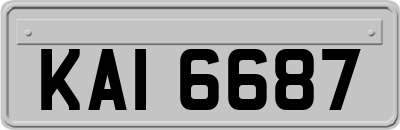 KAI6687
