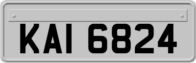 KAI6824