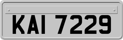 KAI7229