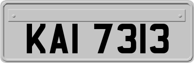 KAI7313