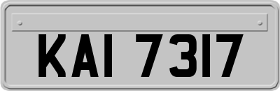 KAI7317