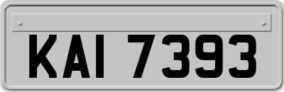 KAI7393