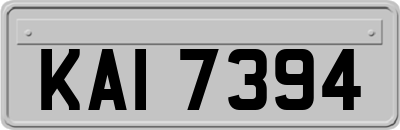 KAI7394