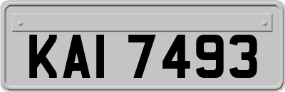 KAI7493