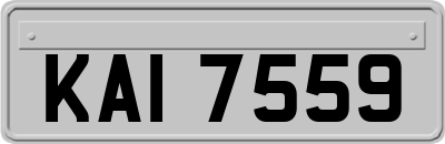 KAI7559