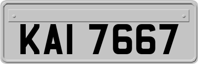 KAI7667