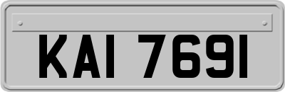 KAI7691