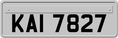 KAI7827