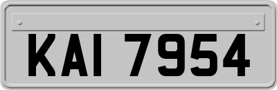 KAI7954