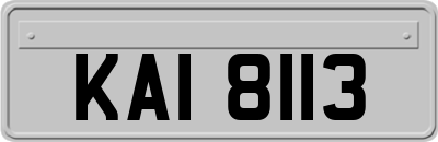 KAI8113