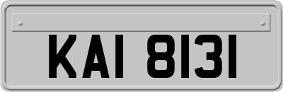 KAI8131