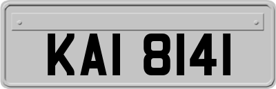 KAI8141