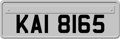 KAI8165