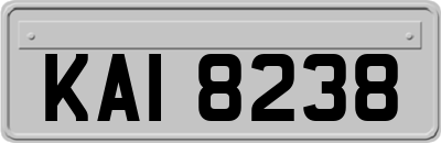KAI8238
