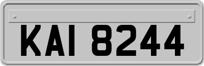 KAI8244